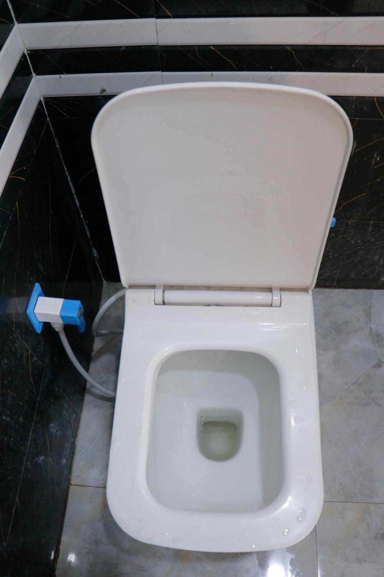 Dolphin Guest House Mathura Exterior foto